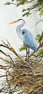 Herons Nest Resim Sanati Suluboya Resimler Ve Sulu Boya