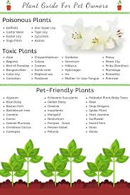They are full of vitamins a, d, e and b complex along with unsaturated fats, iron, zinc, and are also a good. Gardening Safety For Pets Animal Emergency Referral Center Of Minnesota Plants Dog Safe Plants Cat Safe Plants