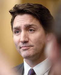 Liberal MPs say they're frustrated over high rejection, slow processing of  visitor-visa applications and welcome PM Trudeau ca