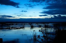 The lake is lovely, you can enjoy boat rides, see hippos. Lake Naivasha Wikiwand