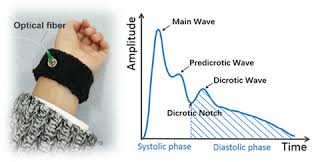 Diaphragm Based Optical Fiber Sensor For Pulse Wave