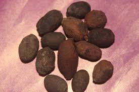 Image result for Syzygium cumini