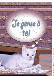 Connecte au fr chat toi amour. Merci Facteur Petit Chat Je Pense A Toi Petit Chat Chat Image De Bisous