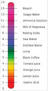 This guide is suspect due to their promoting the popular belief that lemons become alkaline during digestion. How Ph Affects The Skin Futurederm
