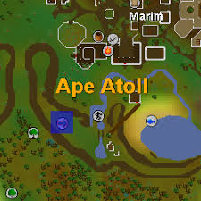 How can i get to karamja for free? Fairy Teleportation Rings Old School Runescape Wiki Fandom