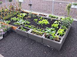 42 Ideen Zum Thema Tolle Pflanzsteine Fur Ihren Eigenen Garten
