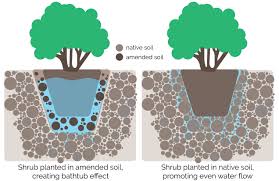 How to amend soil for garden. Should You Amend Your Soil When You Plant Proven Winners