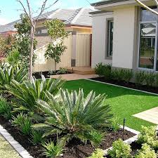 Pin On Cycads
