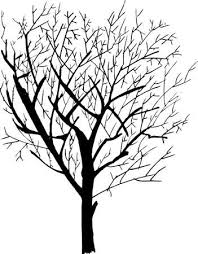 Tattoos lebensbaum tattoos baum scherenschnitt baum weisse zweige gruner baum baum illustration baum zeichnung baum malen blumen basteln aus ursprungliche wand stammbaum zeichnen fingerabdruck baum hochzeit stammbaum vorlage hochzeitsgeschenke tattoos baum baum malen. Baum Zeichnen Ohne Blatter Einfach Images Slike