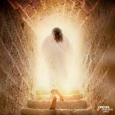 We did not find results for: A Case For The Resurrection The Empty Tomb
