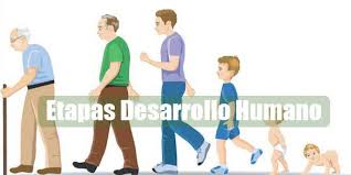 ▷ Todas las Etapas del Desarrollo Humano representadas al completo