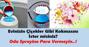 Evin Mis Gibi Kokmasini Isteyenler Icin Dogal Ev Kokusu Tarifleri Bilgi Doktoru Bilgi Doktoru Kokmas Kokusu Steyenler Tar Condiments Beauty Toothpaste