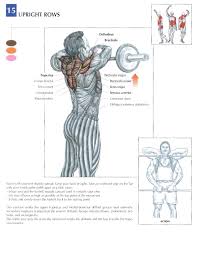 How to build a wide back. 19 Trainin Anatomy Back Ideas Workout Anatomy Muscle Anatomy