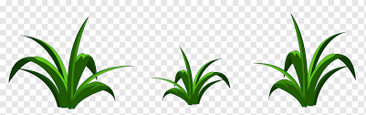 Check spelling or type a new query. Lukisan Daun Kartun Rumput Tanaman Rumput Rumput Keluarga Garis Batang Tanaman Kartun Rumput Keluarga Rumput Png Pngwing