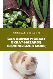 Pin On Pig A Licious