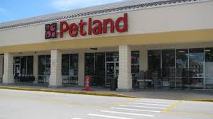 Maybe you would like to learn more about one of these? Sarasota County Settles Longstanding Lawsuit With Pet Store Over Retail Ban News Sarasota Herald Tribune Sarasota Fl