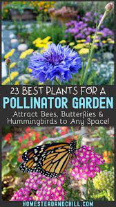 Check spelling or type a new query. 7 Bees And Butterflies Ideas In 2021 Butterfly Garden Bee Garden Plants