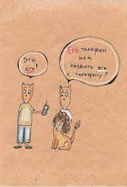 anglijskij yazyk gramotnye koty v 2020 g anglijskij yazyk anglijskij kot