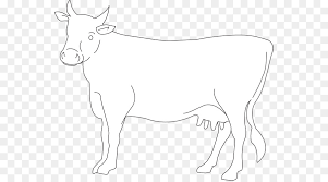 Holsteins have the black and white, or sometimes red and white, coat pattern. Book Black And White Png Download 600 496 Free Transparent Dairy Cattle Png Download Cleanpng Kisspng