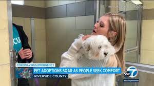 Riverside county facilities participating in the clear the shelters include the san jacinto valley animal campus (581 s. Coronavirus Impact Riverside County Shelter Sees Spike In Pet Adoptions As People Seek Comfort Abc7 Los Angeles