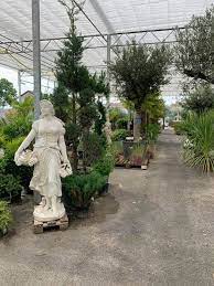 jardineries d ici chelles accueil facebook