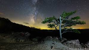 This weeks wallpaper is a view of a lone pine tree overlooking a mountain valley at twilight. Milky Way From Ravens Roost Overlook Milepost 10 7 Blue Ridge Parkway Photo Of The Day Galleries