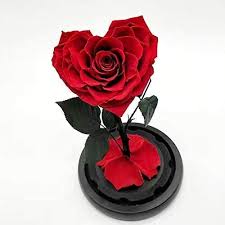 Delivering fresh flowers and uniquely arranged designs to brooklyn, new york and beyond. Heart Shaped Preserved Red Rose In Brooklyn Ny Flowers By Emil
