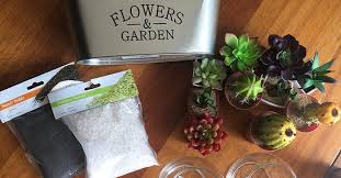And comes painted in (almost) lifelike colors. Diy Mini Succulent Planters Terrariums Dollar Tree
