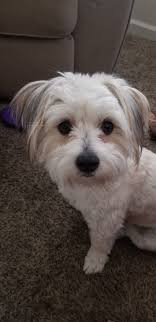 OPENING RESERVATIONS FOR DUSTY AND TINK!!!