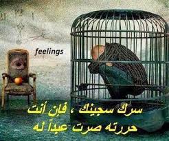 صور أجمل الكلمات والحكم مداد الجليد Cool Words Box Fan Words