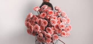 Einige der schönsten blumen wurden als. 20 Schone Blumen Natur Und Blutenfreude Fur Haus Und Garten