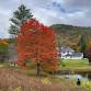 Falling Inward: a Vermont Retreat — Willow