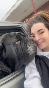 Dog Friendly New Hampshire