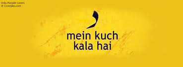 Urdu Quotes Funny Profile Pictures For Boys. QuotesGram via Relatably.com