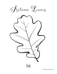 You'll find many autumn and fall coloring pages that are free to print for the kids. 2021 Fall Foliage Map Nationwide Peak Leaf Forecast