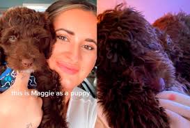 Perrita vuelve de la peluquería y su dueña no la reconoce: “Se equivocaron  de perro”