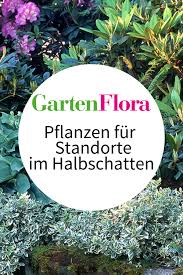 Ähm da ist ja eigentlich äh gut aufgehoben. Halbschatten Pflanzen Wenig Licht Ist Mehr Gartenflora Halbschatten Pflanzen Pflanzen Vorgarten Bepflanzen
