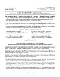 senior it executive resume