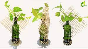 Money Plant Growing Ideas Money Plant Money Plant Growing In Water Orga Plants Grown In Water Money Plant Plant Wall Decor