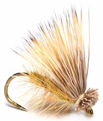 Maybe you would like to learn more about one of these? Elk Hair Caddis Fly Of The Month Hastings Fly Fishers
