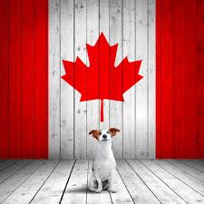 But starting today, april 21, changes have been made to. Fido Happy Canada Day We Hope You Re All Having A Fantastic Long Weekend Facebook