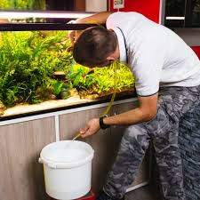 Bersihkan semua sisi luar akuarium dengan cara ini sampai bersih semuanya. Jagalah Akuarium Agar Tetap Bersih Dengan 8 Rekomendasi Produk Pembersih Akuarium Ini 2019