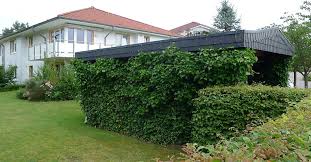 Whats the easiest and cheapest way to do this? Carport Greening With Climbing Plants