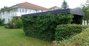 Steel roofing panels may be ordered in a wide range of colors. Carport Greening With Climbing Plants