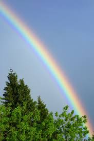 Das magazin der süddeutschen zeitung hat daraufhin die irritierende diskussion auf die spitze getrieben. Wir Sind Sicher Dass Alles Wieder Gut Wird Mit Regenbogen Ein Zeichen Der Verbundenheit Setzen 17 04 2020