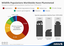 Chart Wildlife Populations Worldwide Have Plummeted Statista