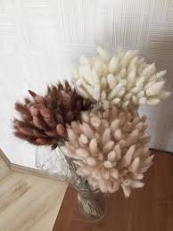 120 Pcs White Dried Natural Lagurus Ovatus Flower Bunches Hare S Tail Grass Bunny Tail Grass Wedding Flower Decor Floral Home Decor Dried Flower Arrangements Flower Decorations Dried Flower Bouquet