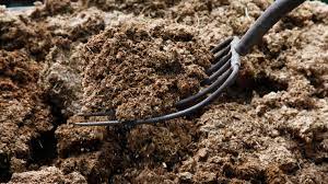 How Much Manure Should You Add? Types And Garden Tips