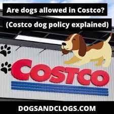 Are Dogs Allowed In Costco Costco Dog Policy Explained