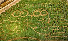 Maybe you would like to learn more about one of these? Frosty S Forest And Pumpkin Patch In Chino Ca Groupon